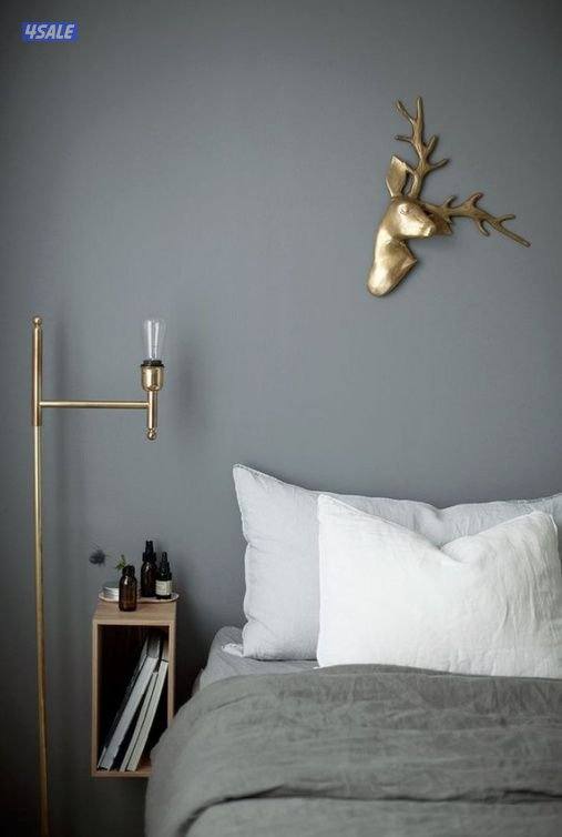 محمد صباغ باكستاني2