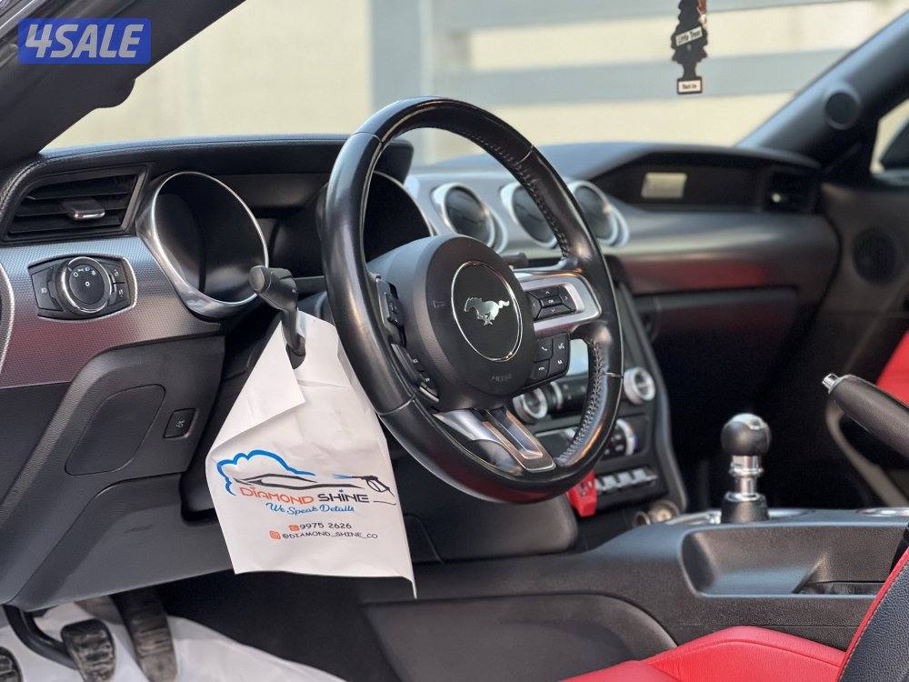 موستنق 5.0 / ٢٠٢١ / قير عادي9