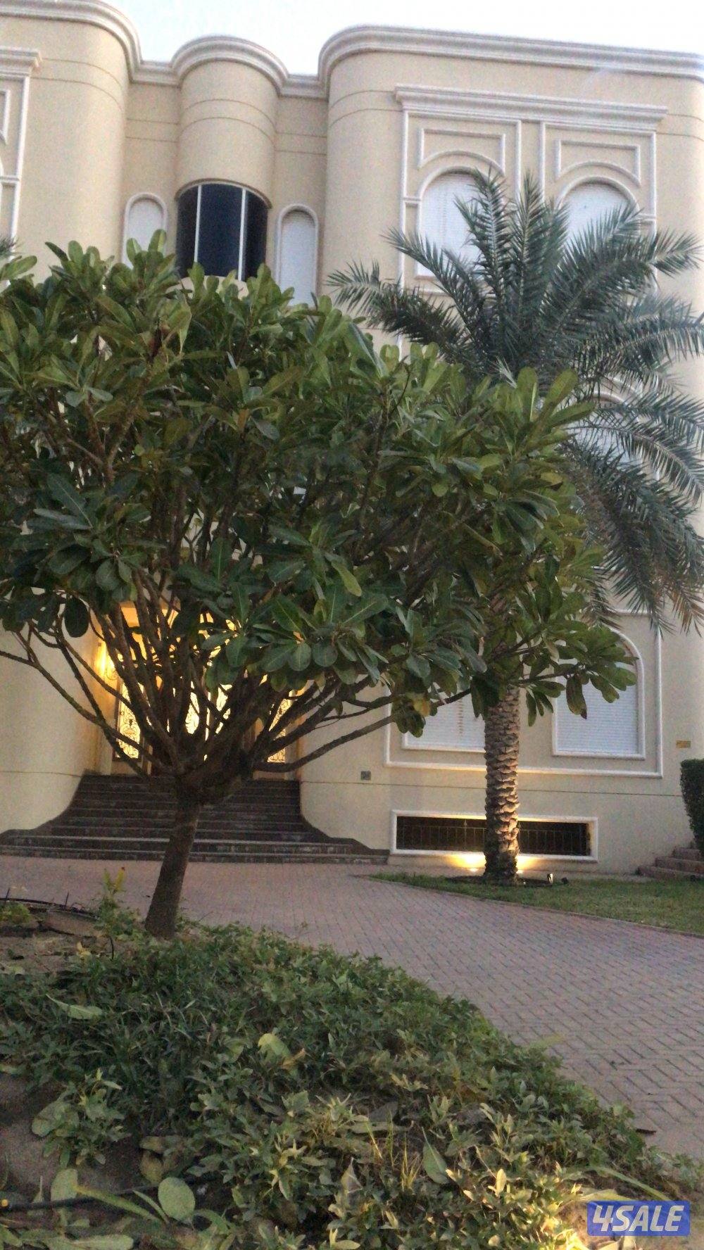 مطلوب فيلا مقر سفارة اجنبية والدفع مقدم0