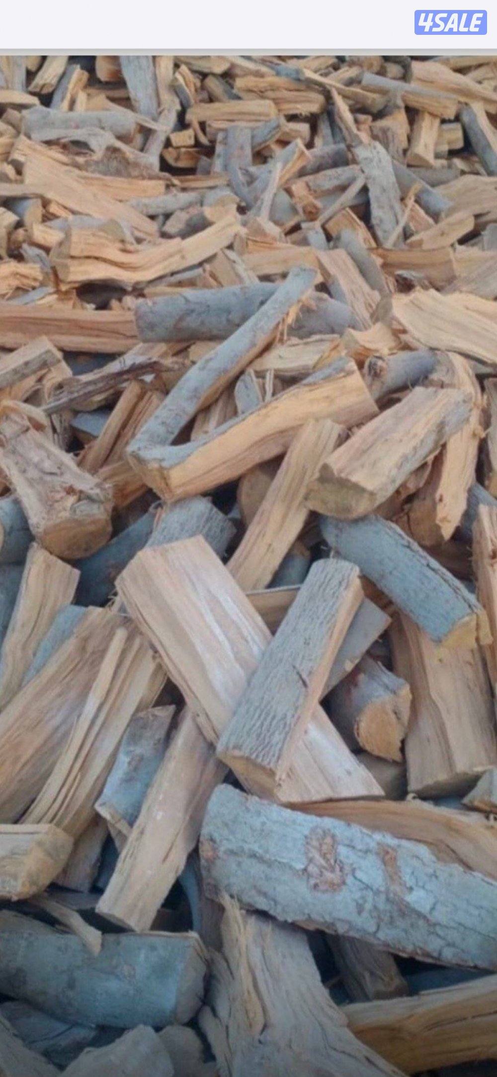 حطب شب زيتون ممتاز شلايخ مشروط ناشف يصلح للطبخ و الشواء1