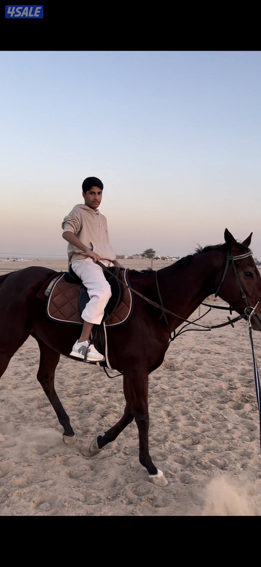 مربط بري مع تعليم ركوب خيل .0