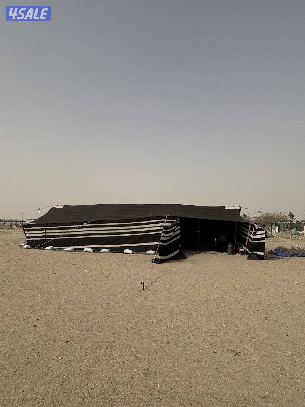 مربط بري مع تعليم ركوب خيل .8