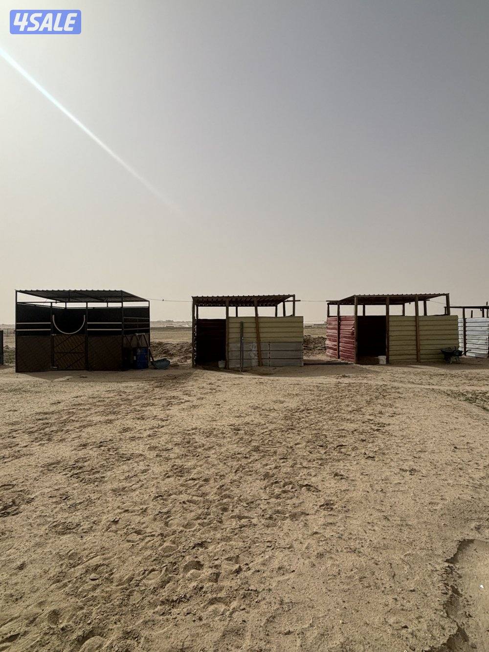 مربط بري مع تعليم ركوب خيل .9