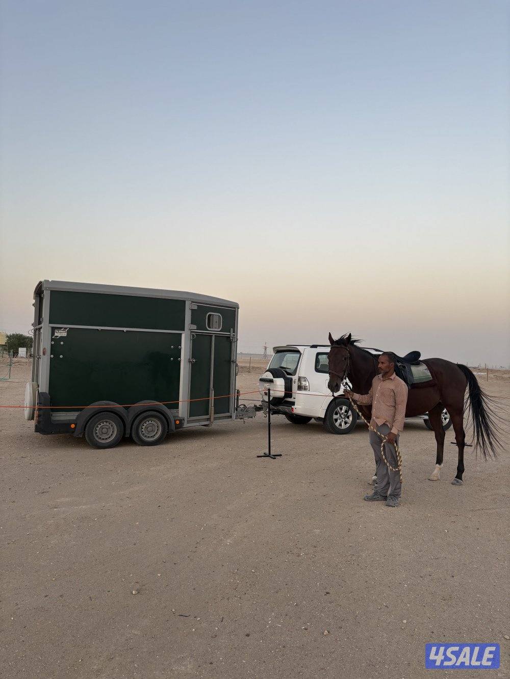 مربط بري مع تعليم ركوب خيل .12