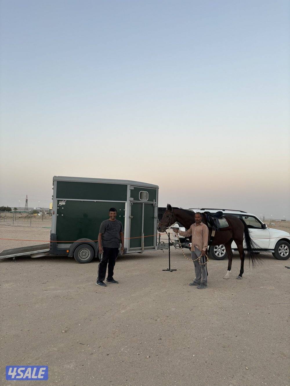 مربط بري مع تعليم ركوب خيل .13