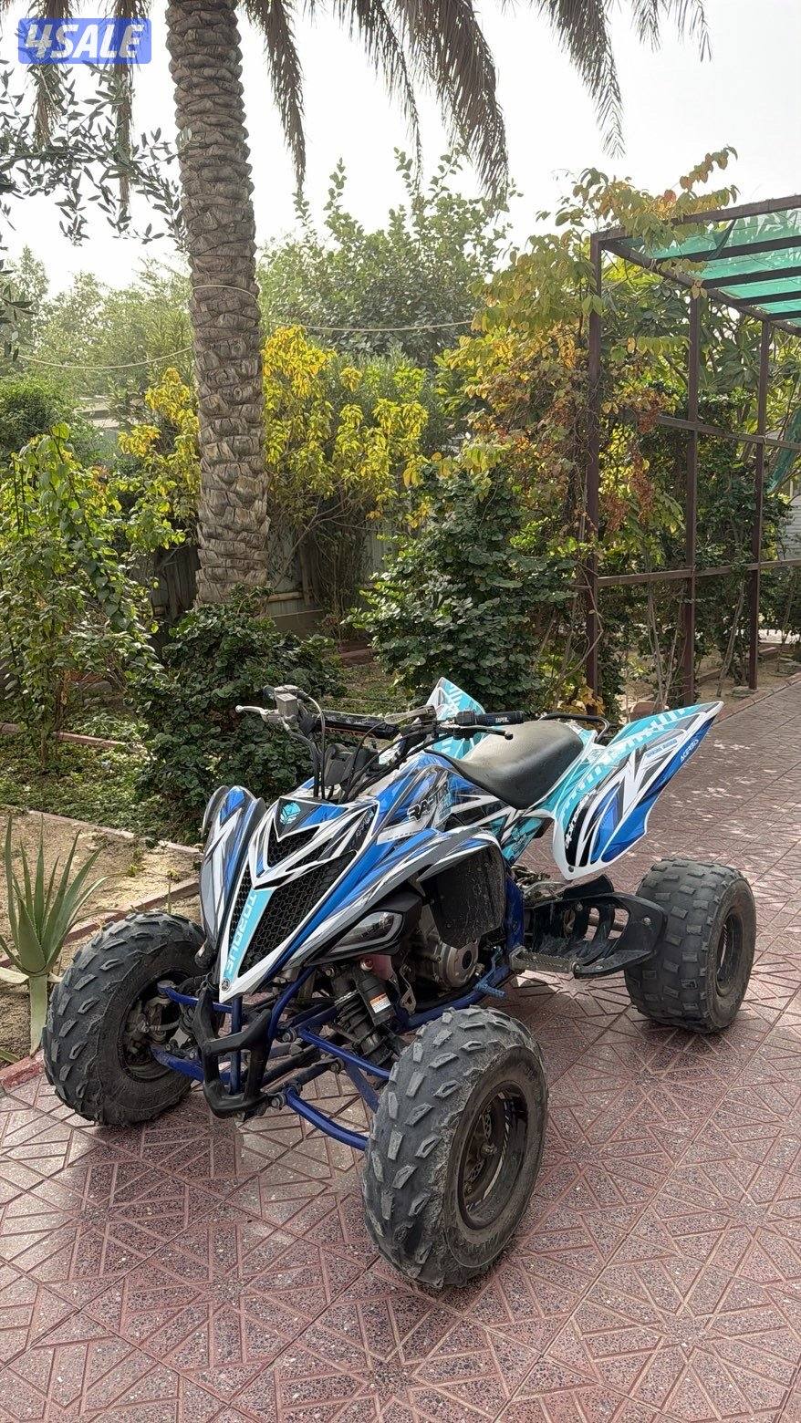 للبيع رابتر 20190