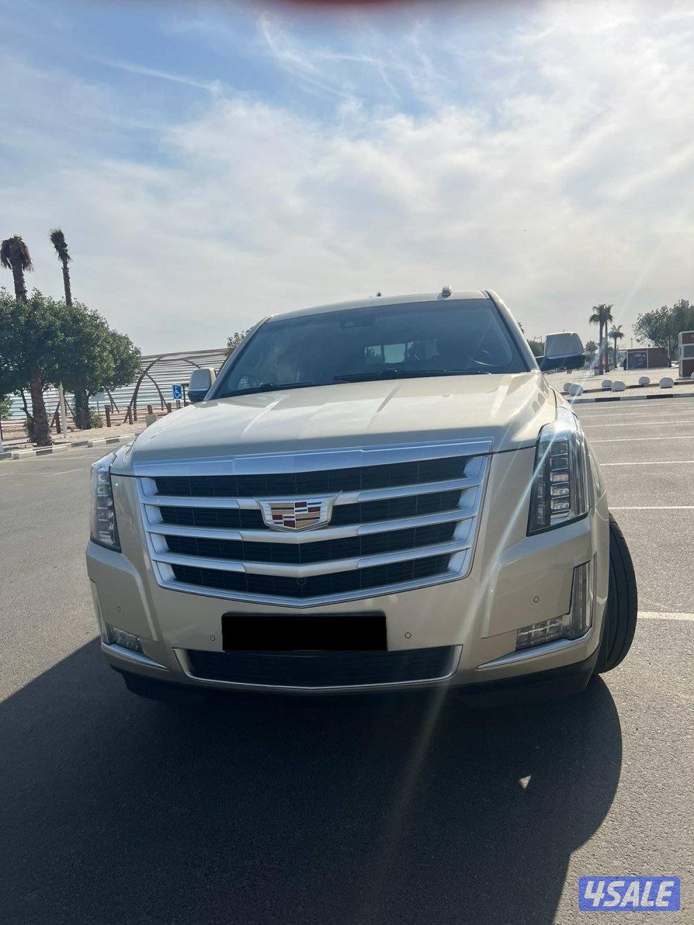 للبيع اسكاليد ٢٠١٦1