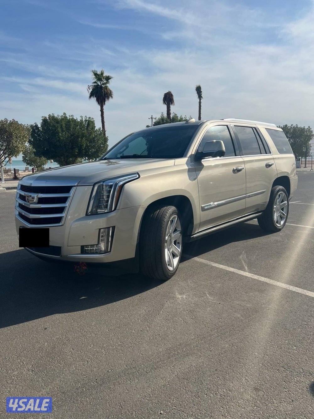 للبيع اسكاليد ٢٠١٦2