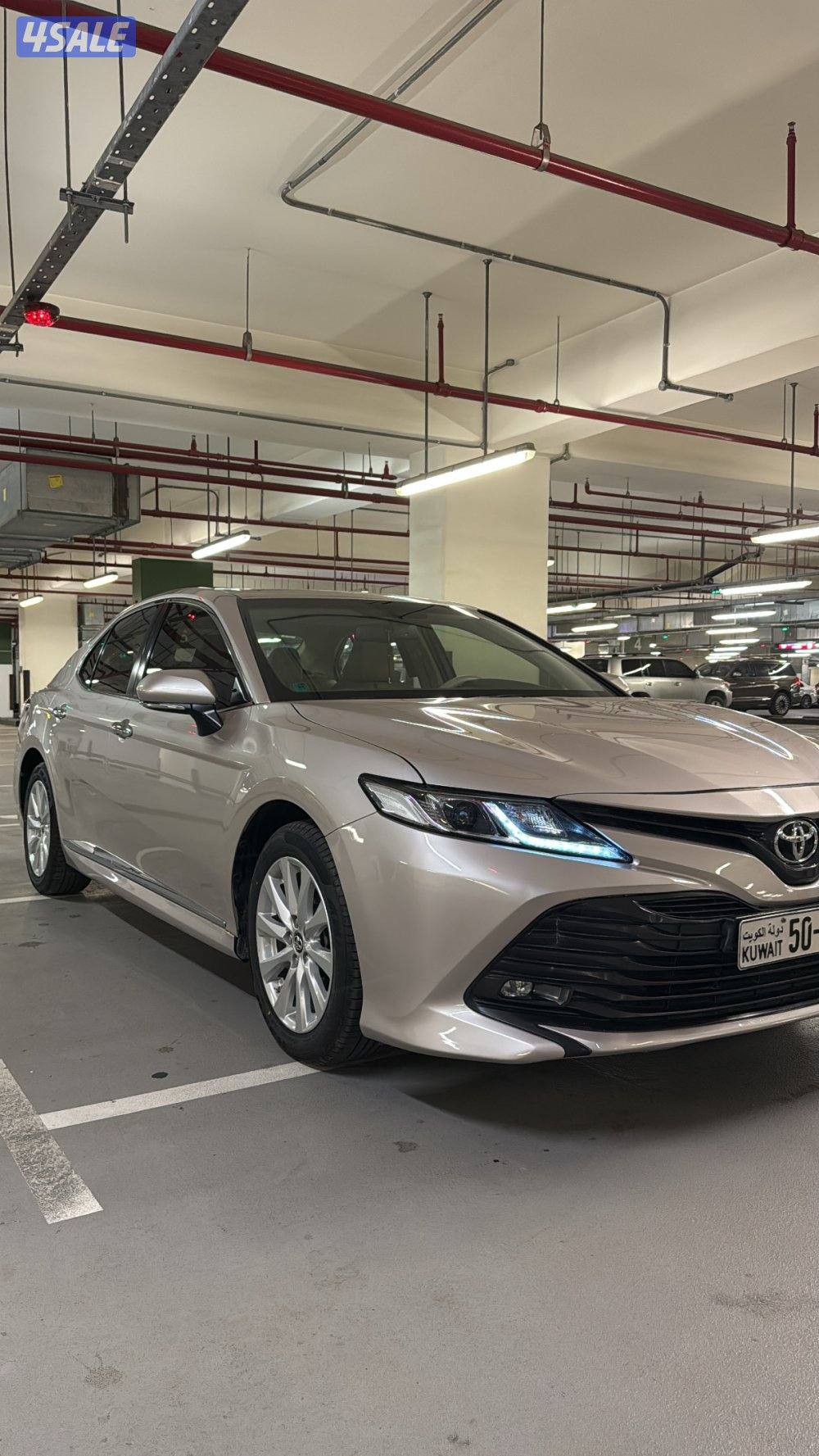 كامري GLE صبغ الوكالة2