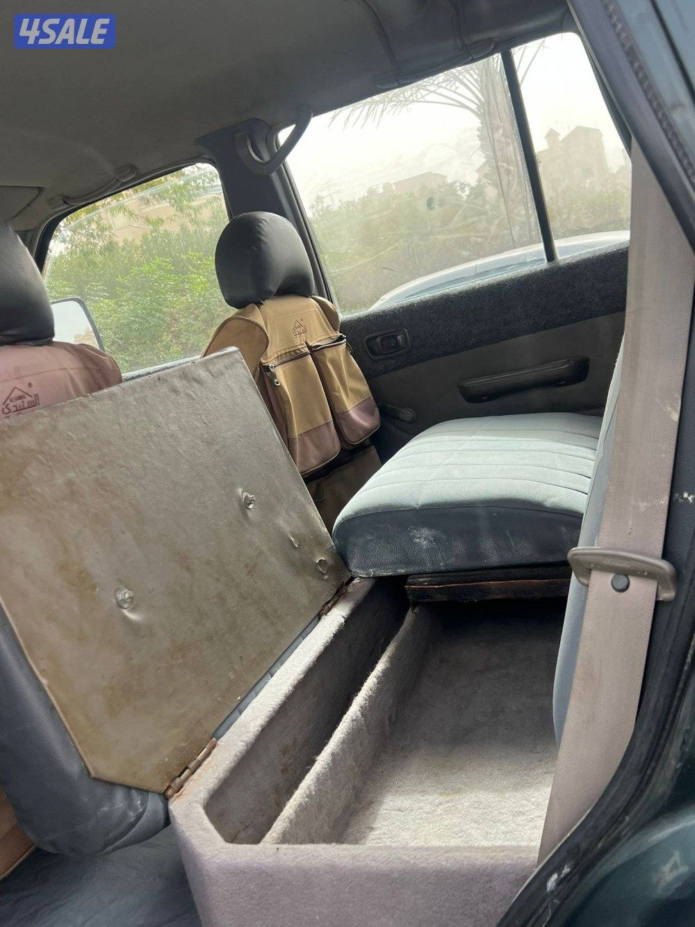 سفاري عليه شد7