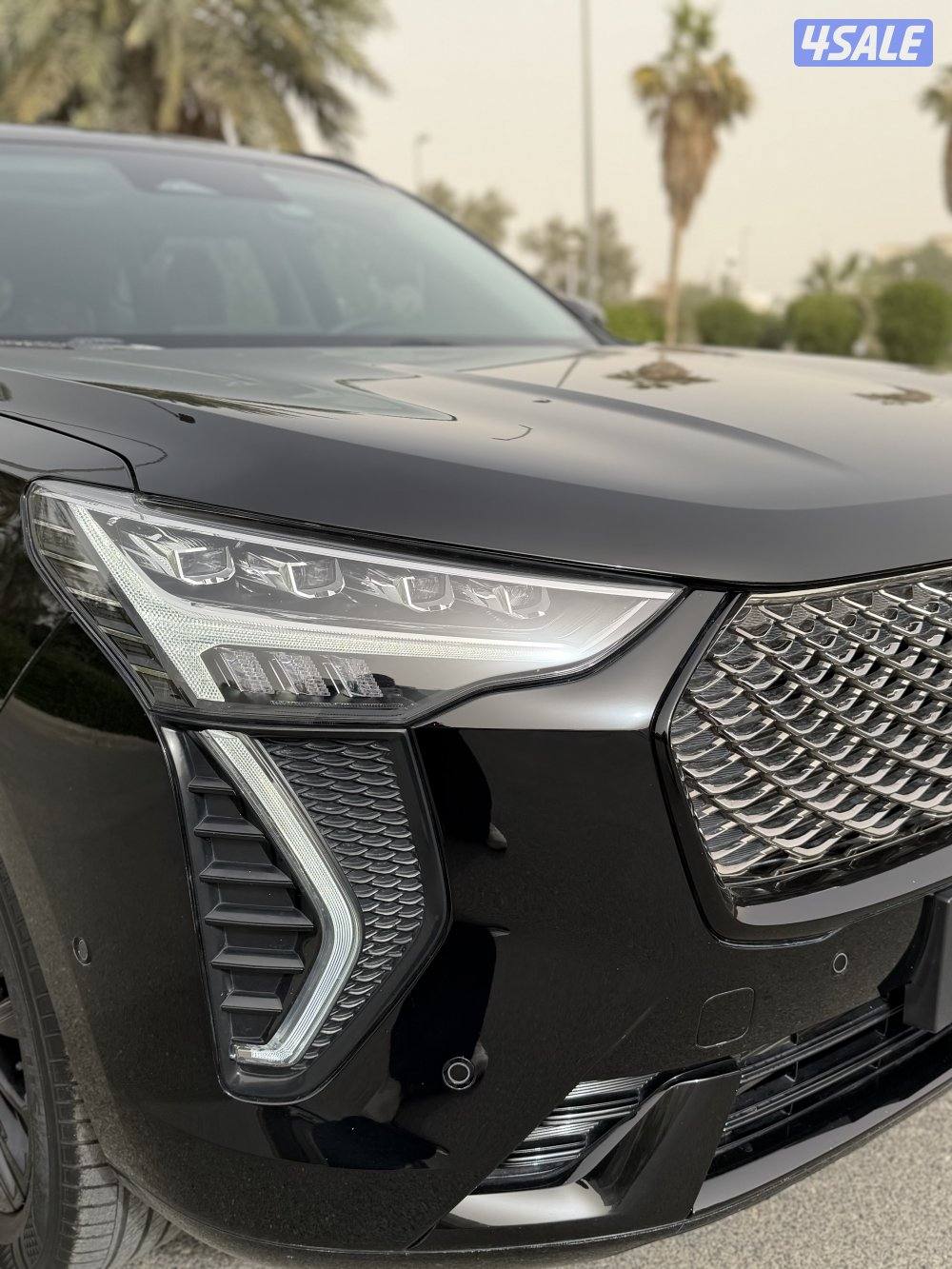 هافال جوليون عداد 20 تحت الكفالة4