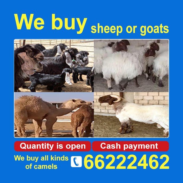 فضل / مشترك بحث0