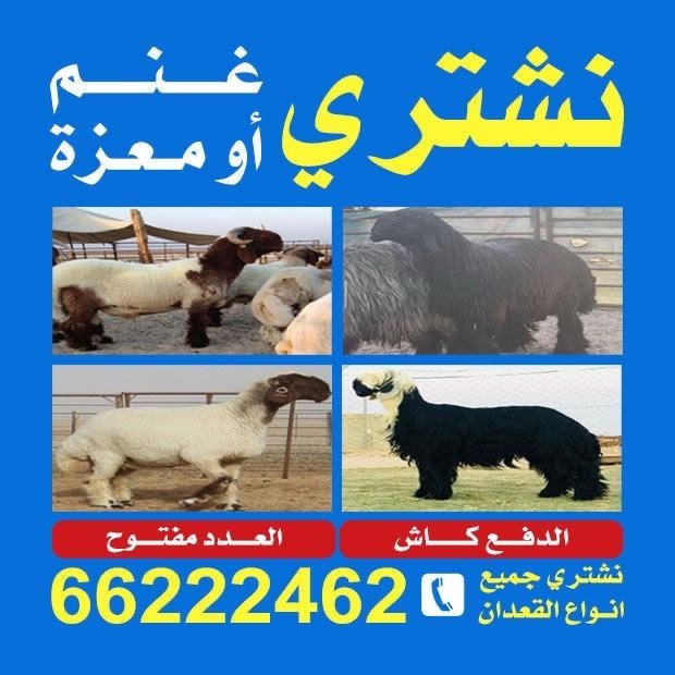 فضل / مشترك بحث1