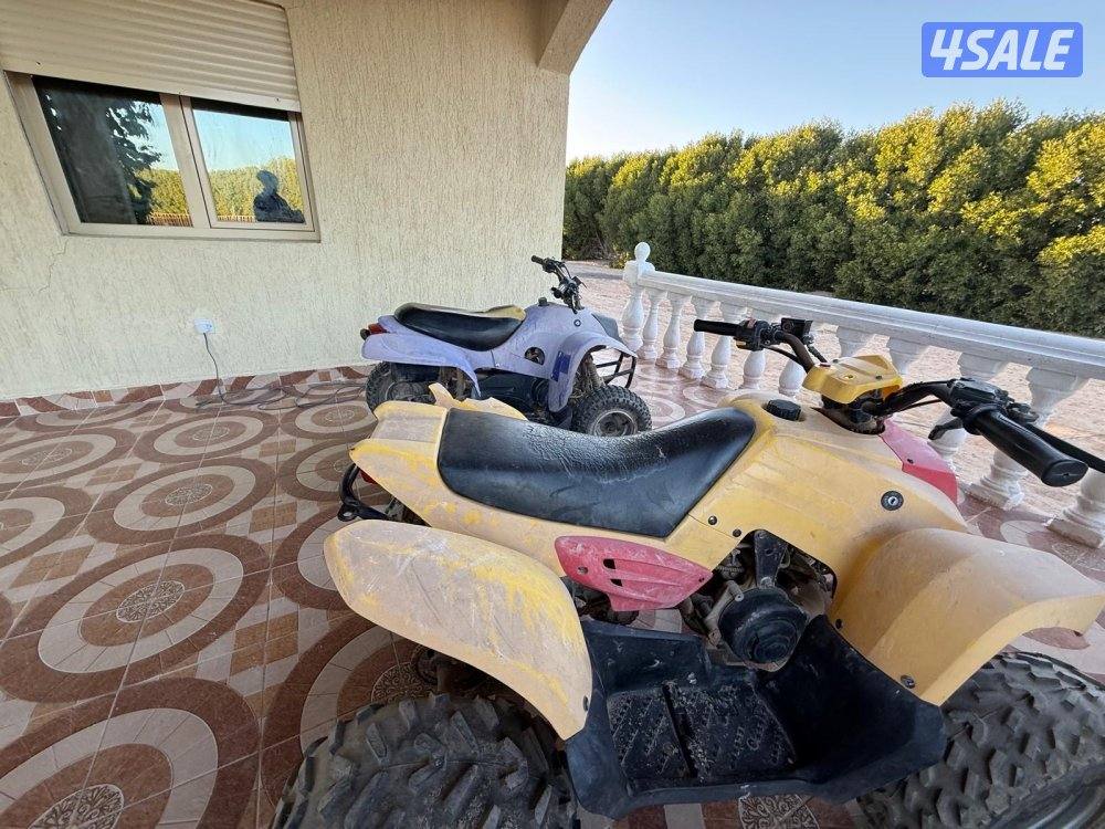 بقيات عميري1