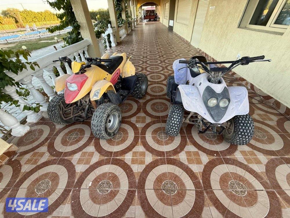 بقيات عميري3