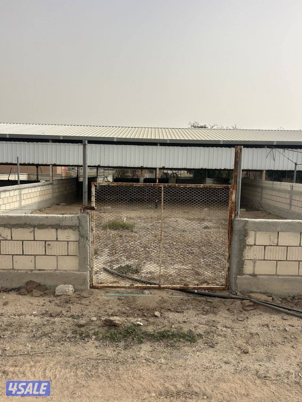 للايجار مجموعة حظائر0