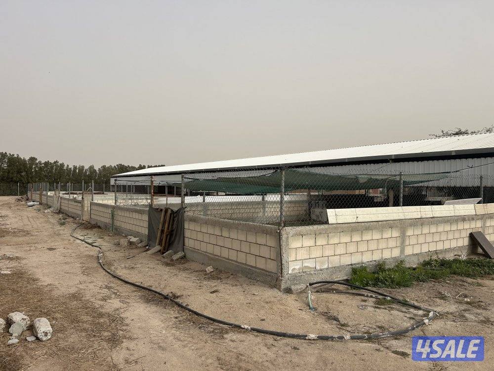 للايجار مجموعة حظائر1