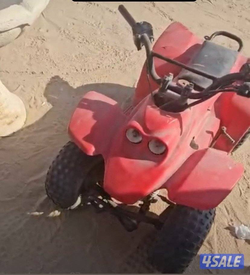 بقي تايوان اخو العميري اقرأ الوصف0