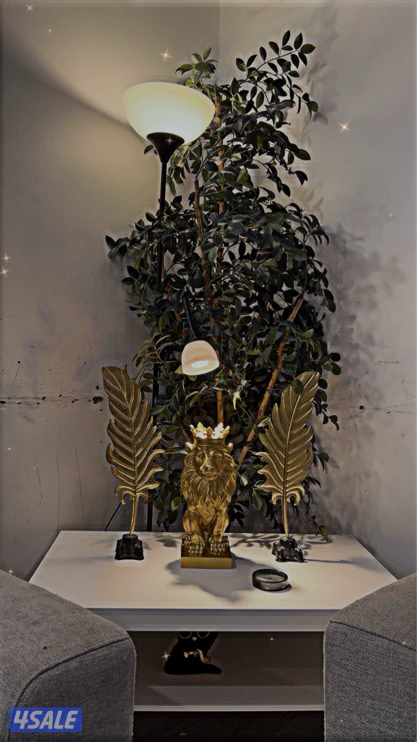 استراحة فيلا ديفان📍14