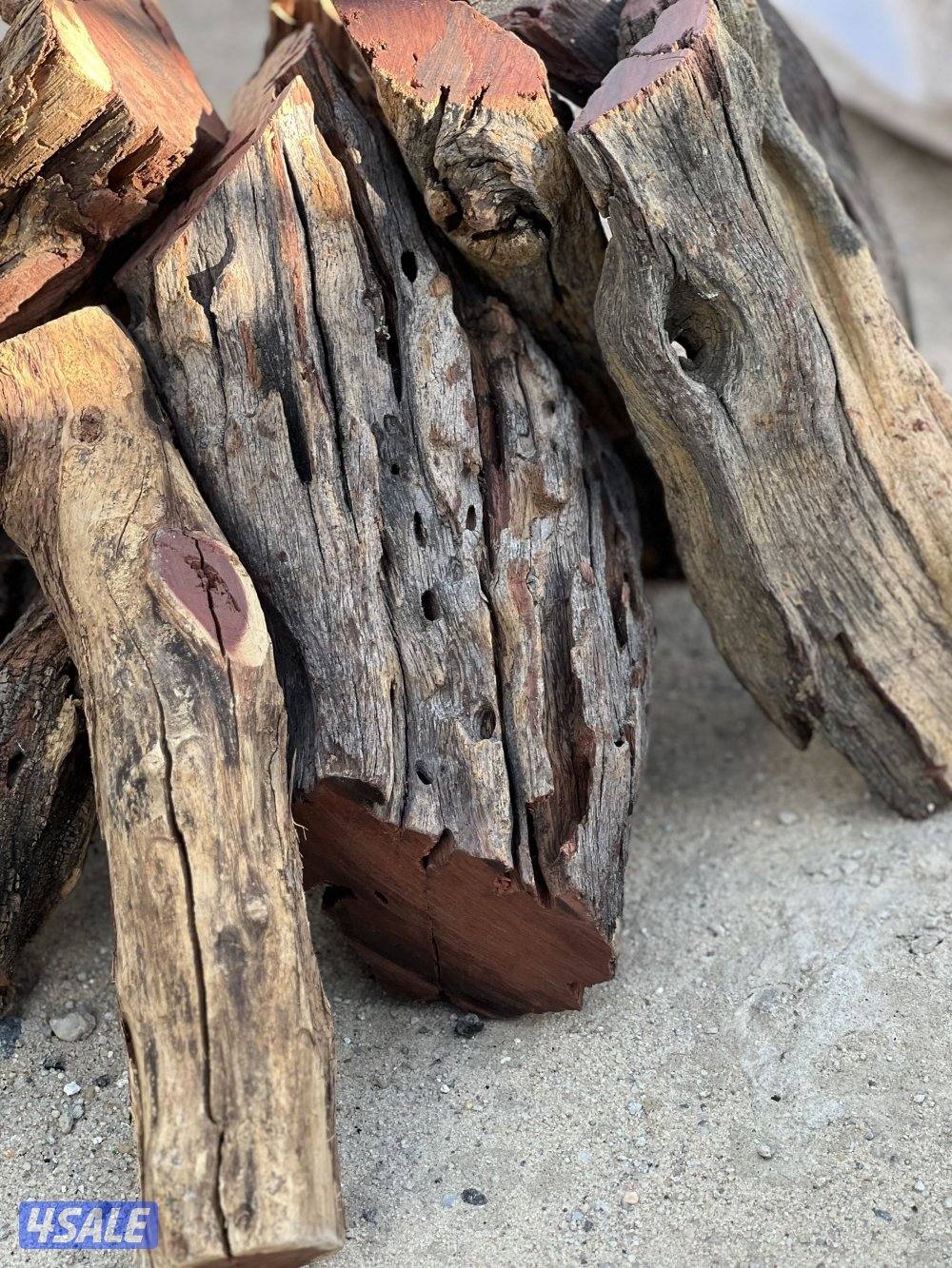 حطب قـرض افريقي فاخر3