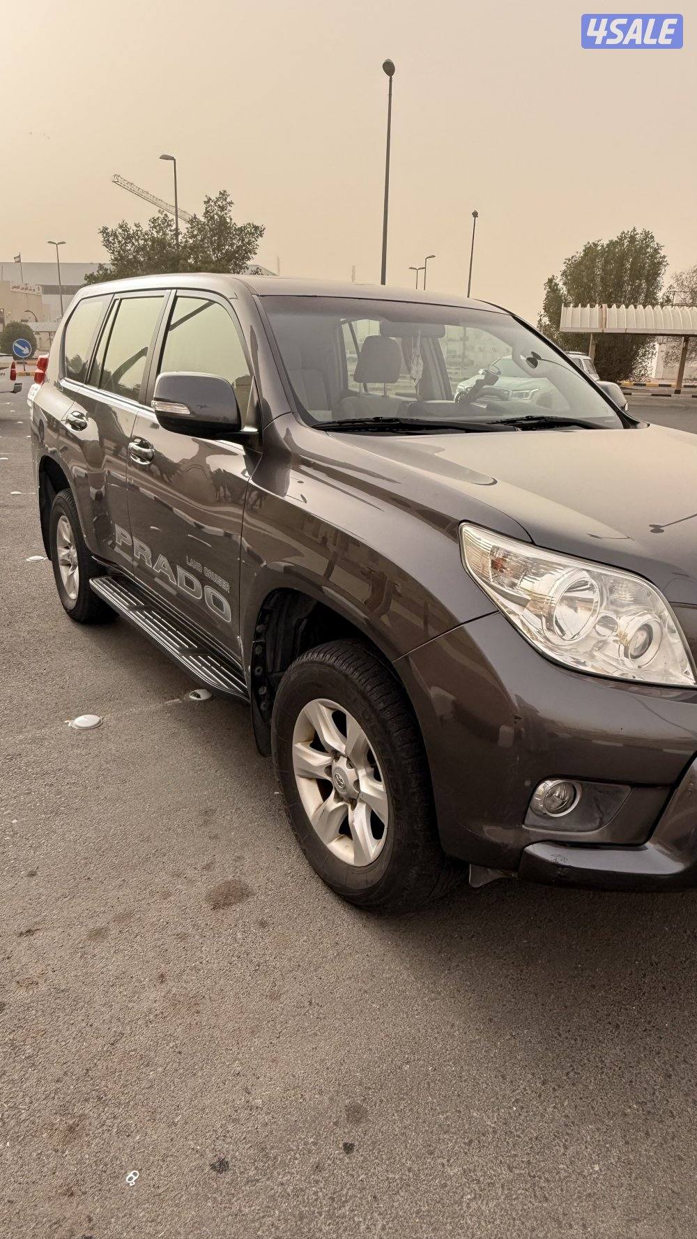 القرين القرين0