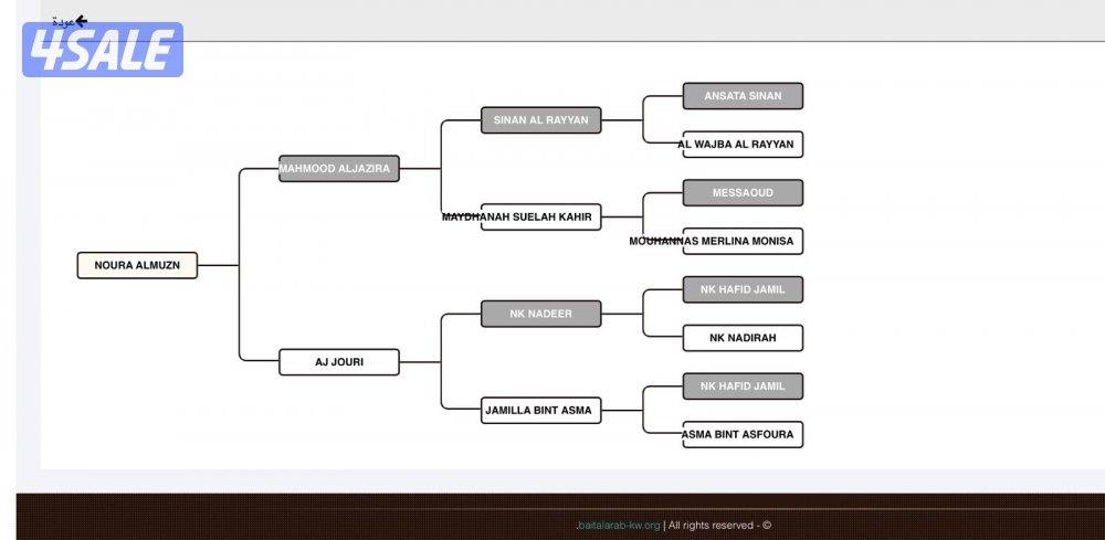 مهرة مصرية2
