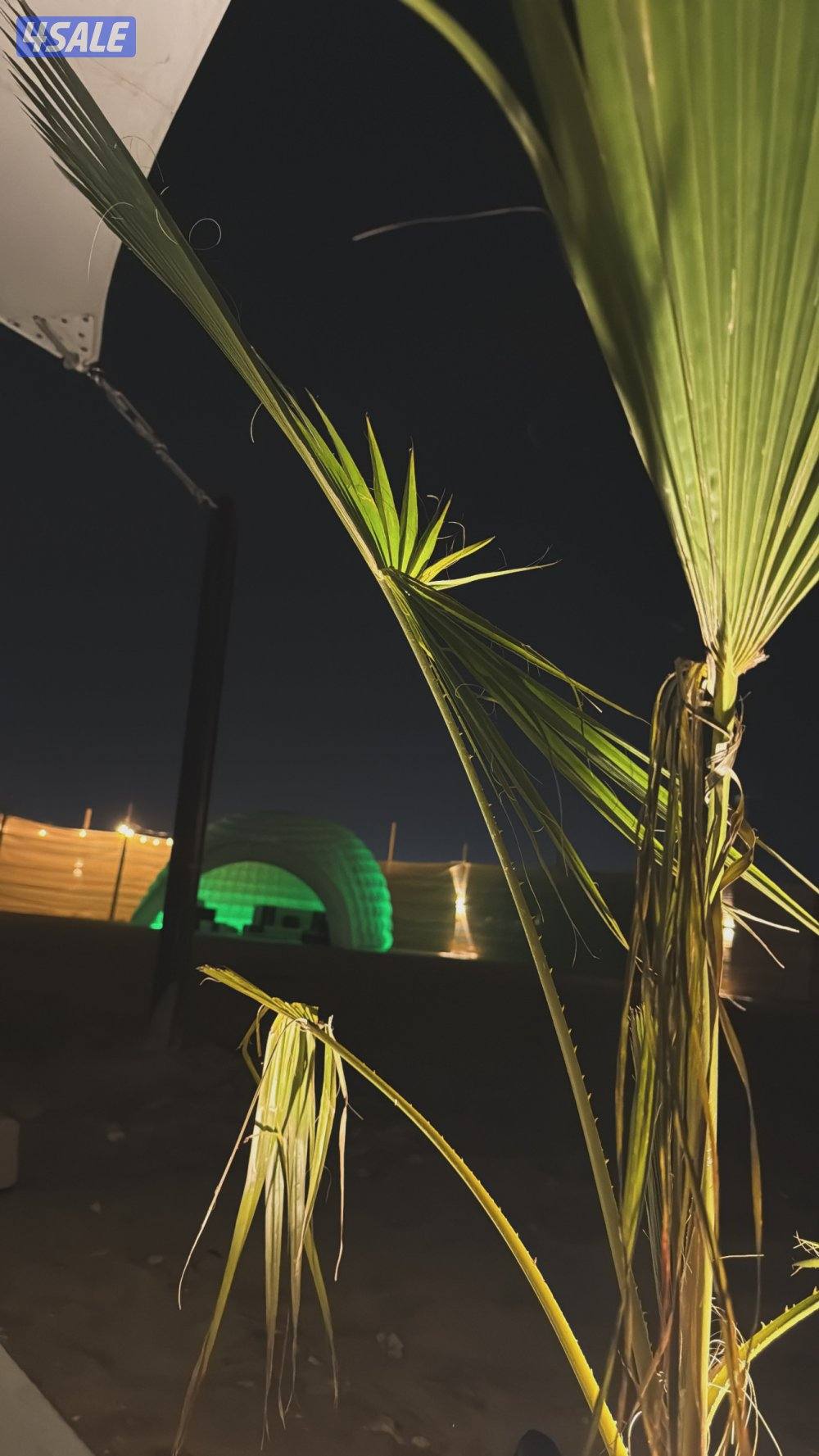 للاجار مخيم بيروت🇱🇧  المطلاع كيلو 85