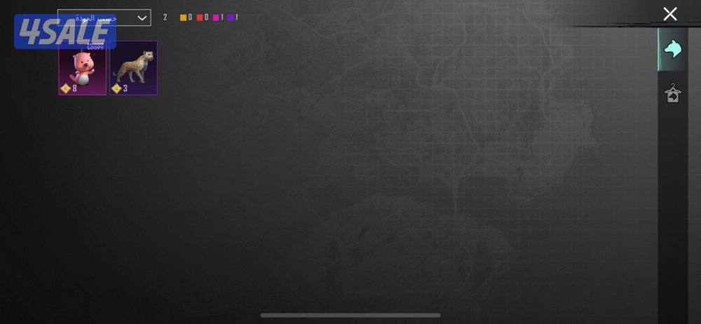 حساب ببجي بيعه سريعه9