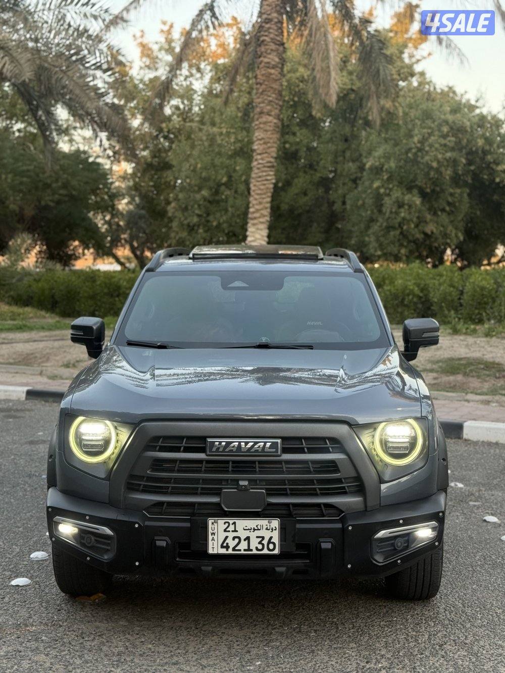 دارجو صبغ الوكاله0