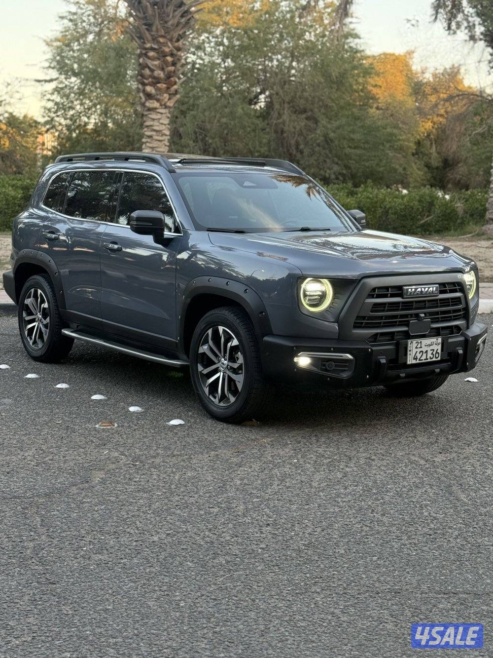 دارجو صبغ الوكاله1