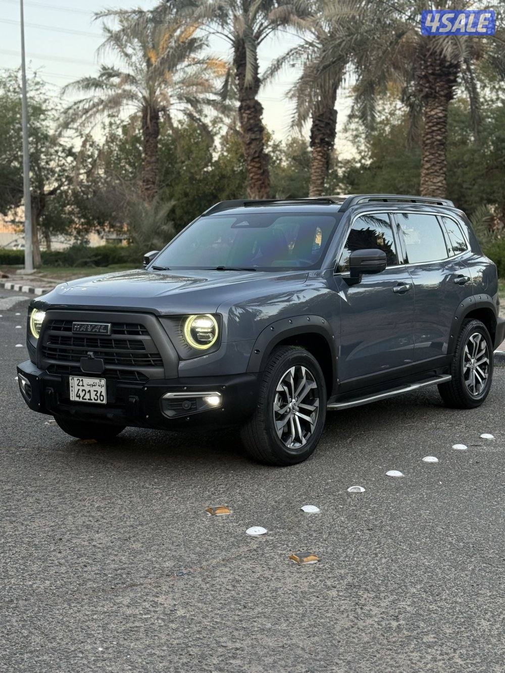 دارجو صبغ الوكاله2