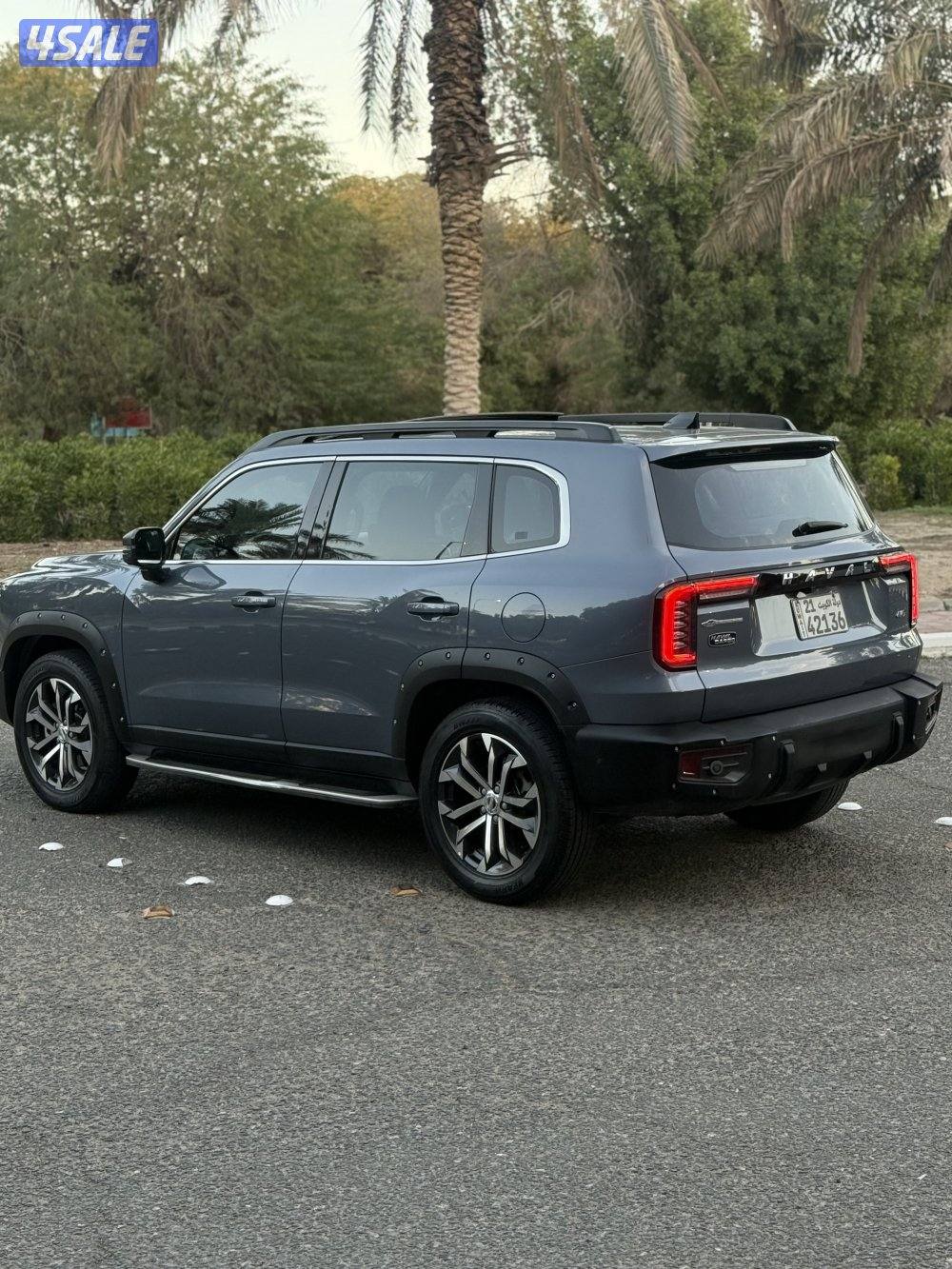 دارجو صبغ الوكاله4