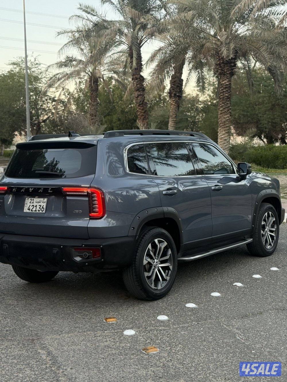 دارجو صبغ الوكاله5