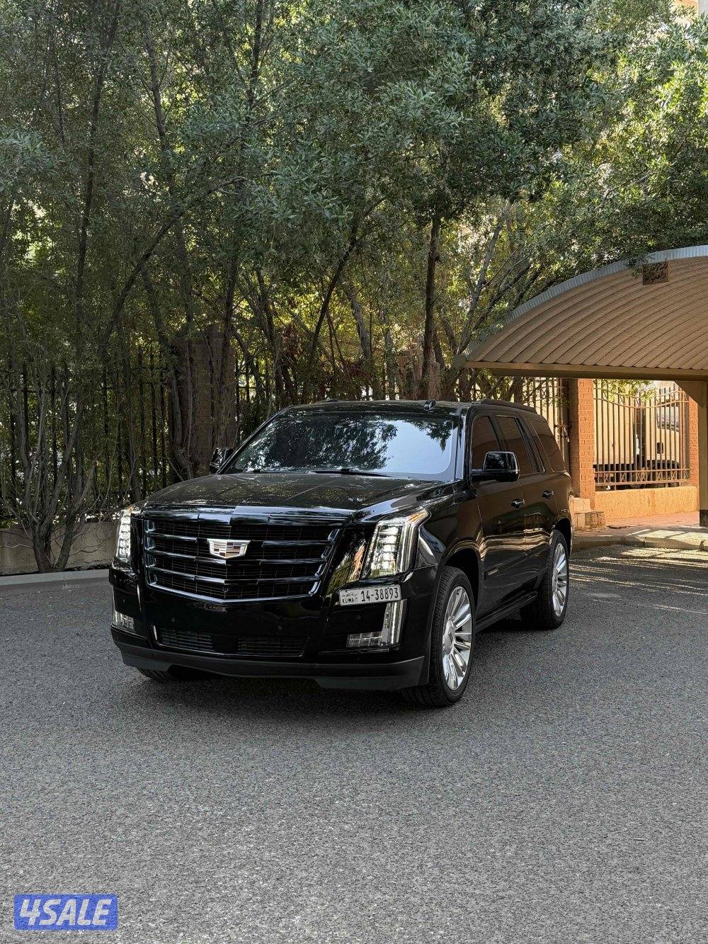 اسكاليد 2016 الغانم1