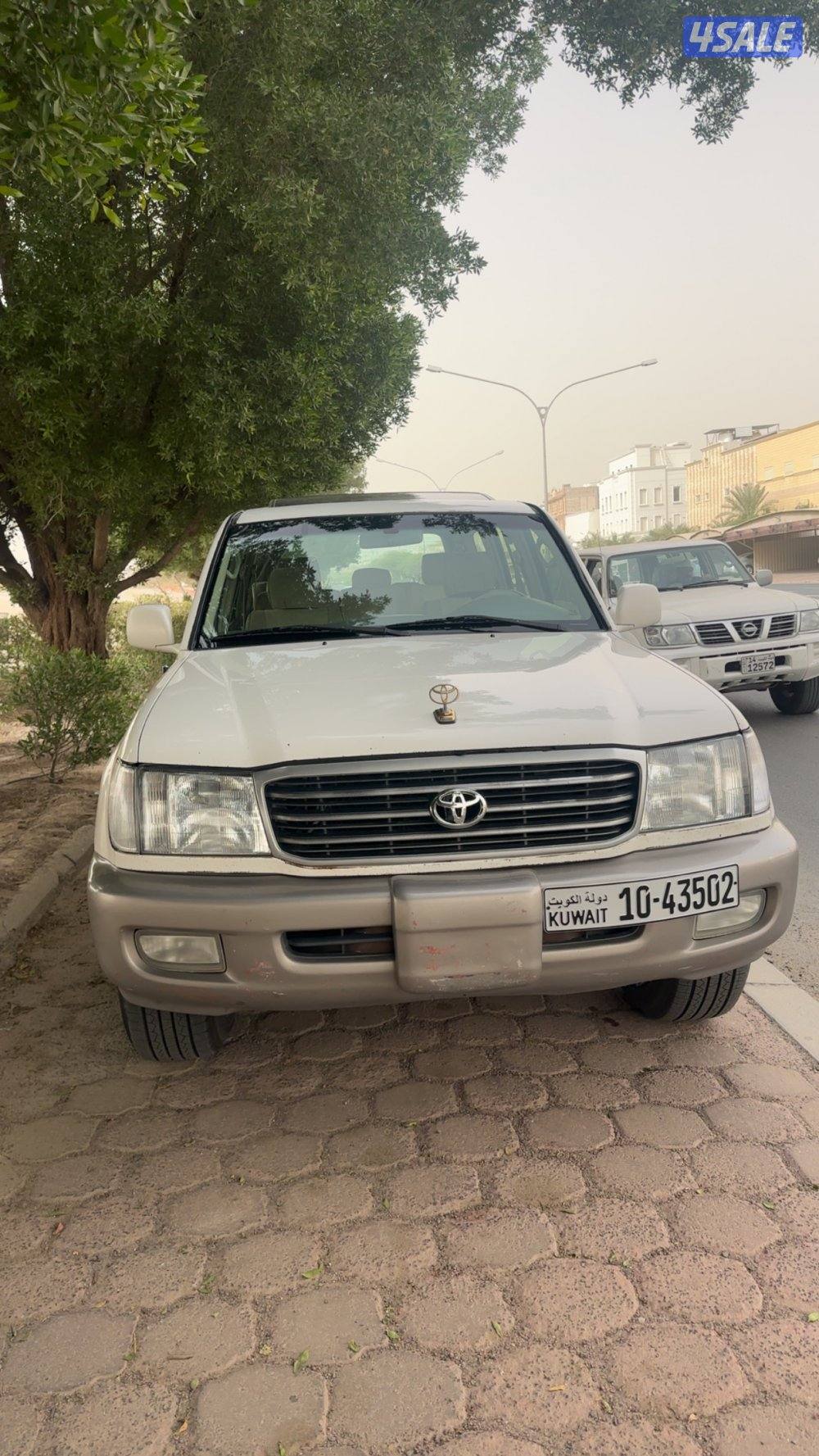 صبغ الوكاله شاصي جيد1