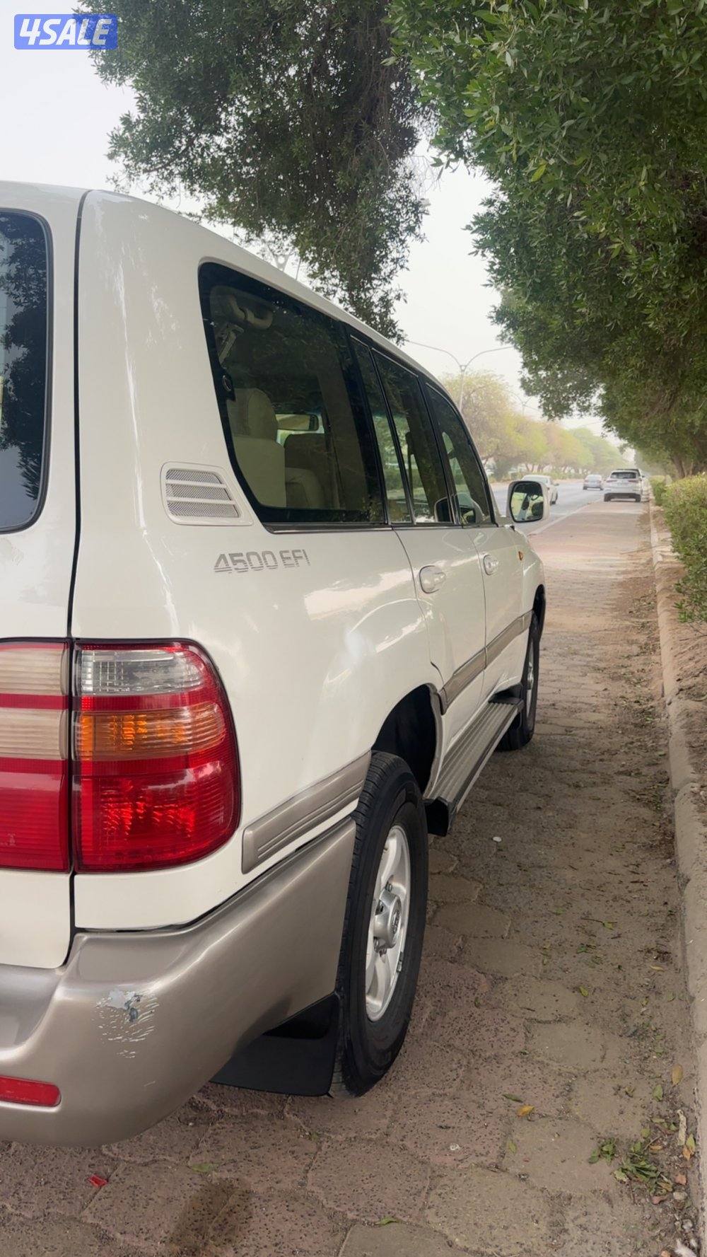 صبغ الوكاله شاصي جيد2