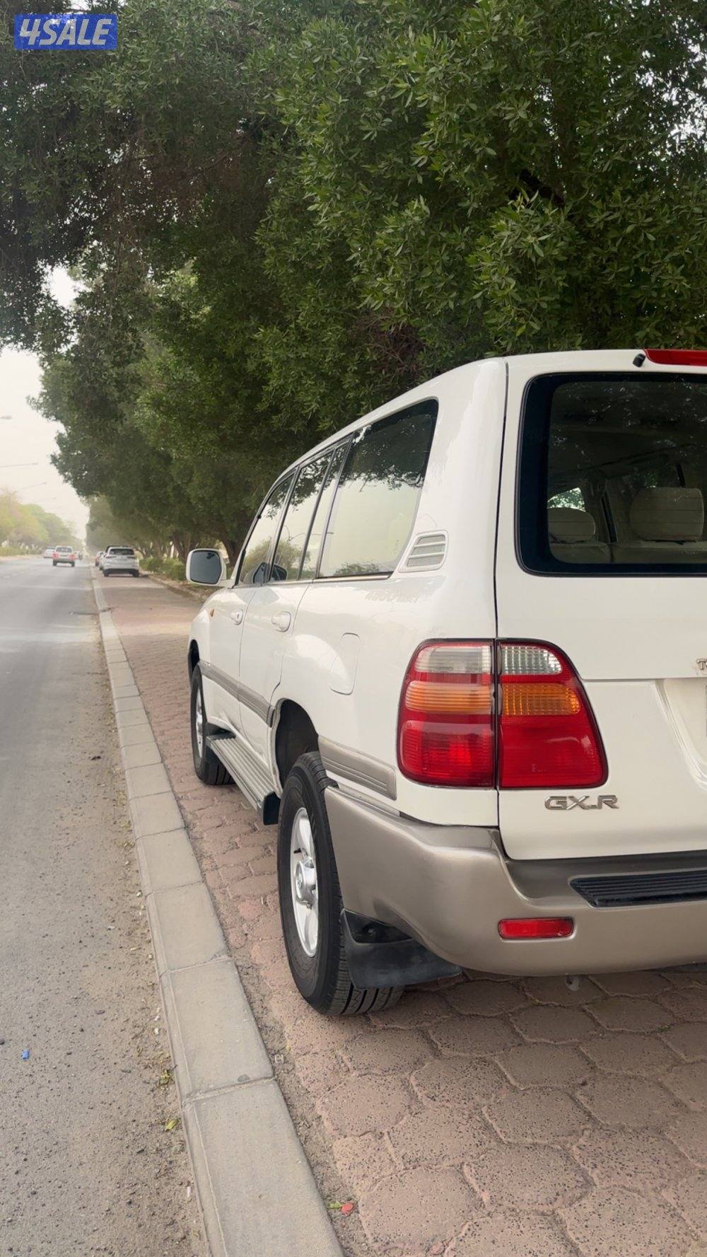 صبغ الوكاله شاصي جيد3