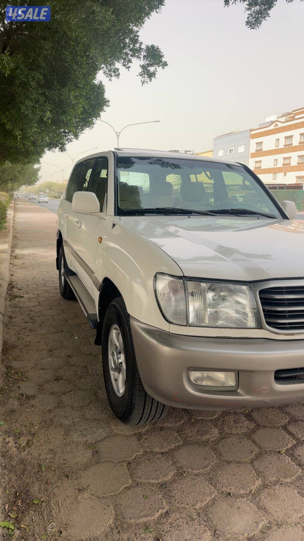 صبغ الوكاله شاصي جيد4