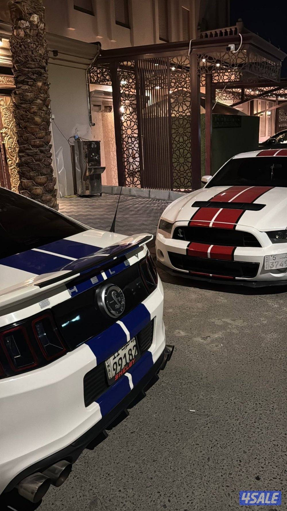 موستنق 2010مجدد 2014 ومحول شلبي الموتر نظيف شاصي جيد1