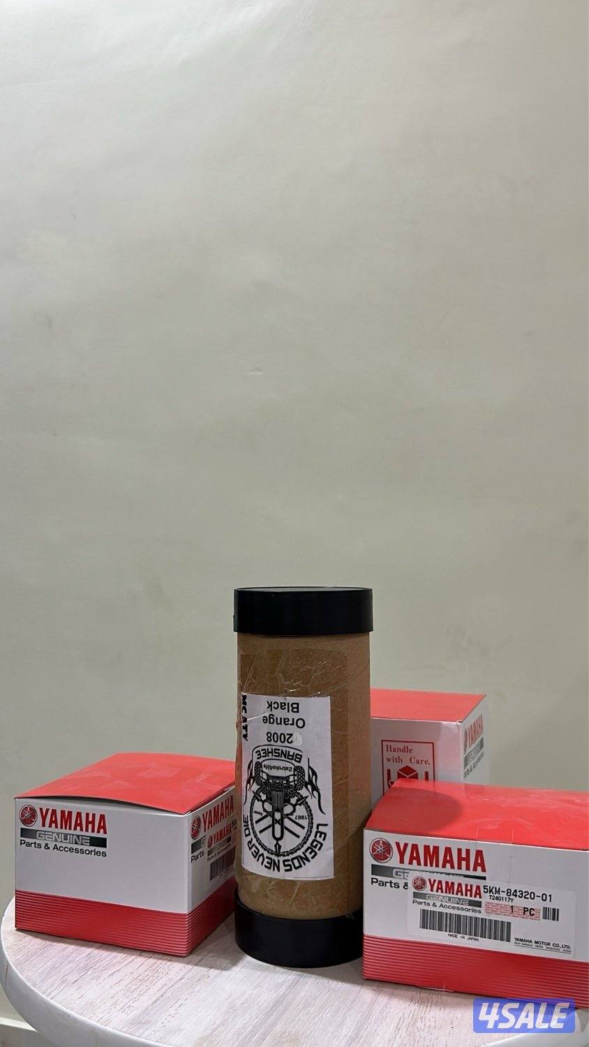 للبيع بانشي ٢٠٠٨ .11