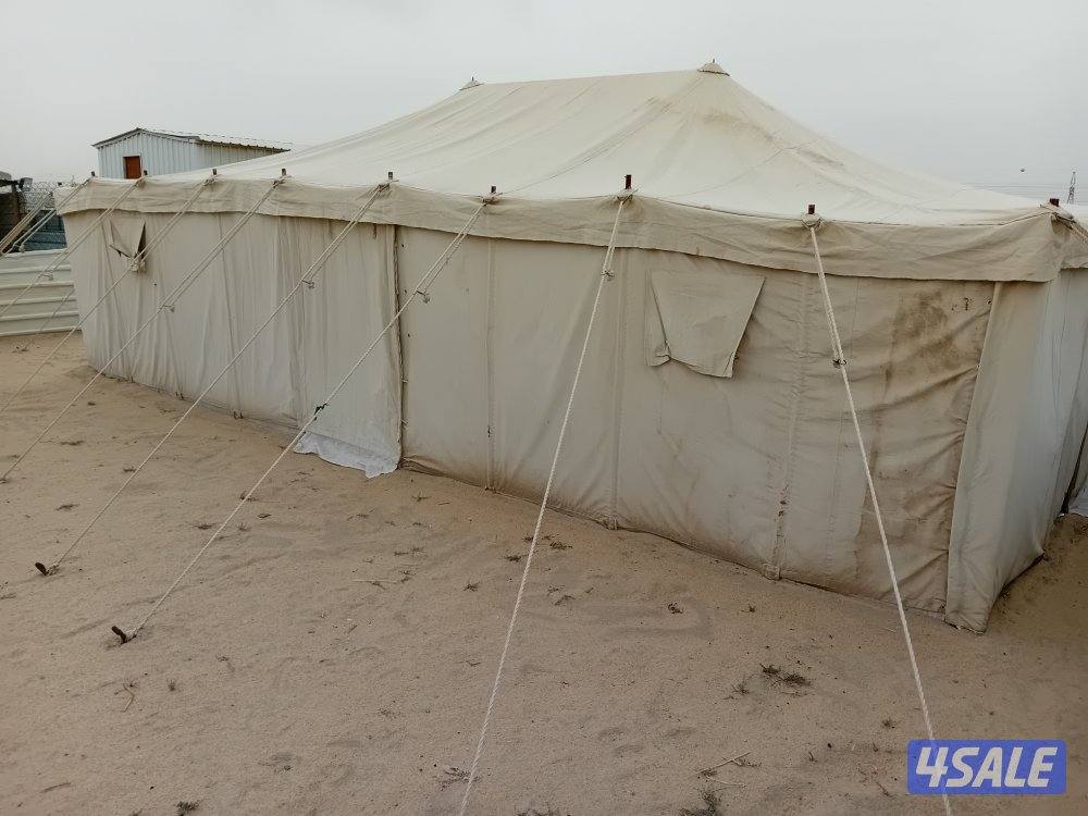 بيعة سريعة3