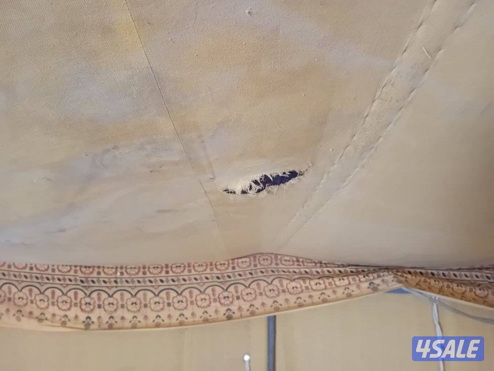 بيعة سريعة7