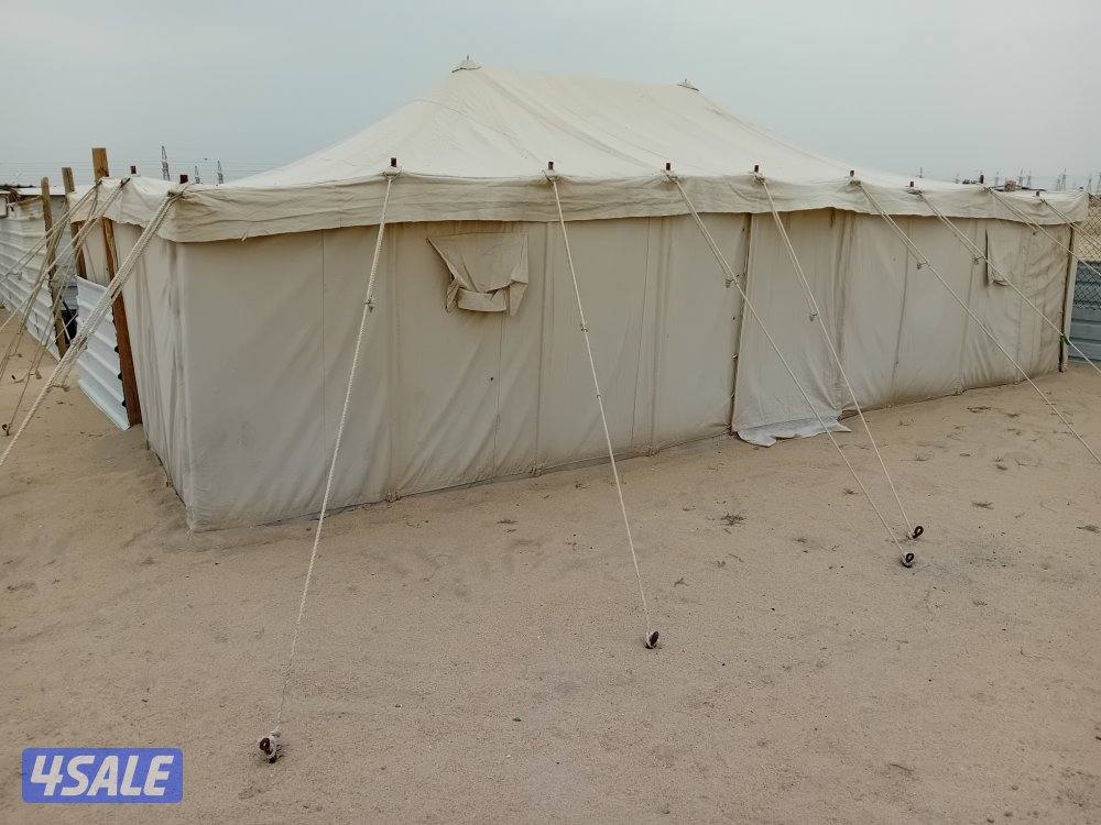 بيعة سريعة8