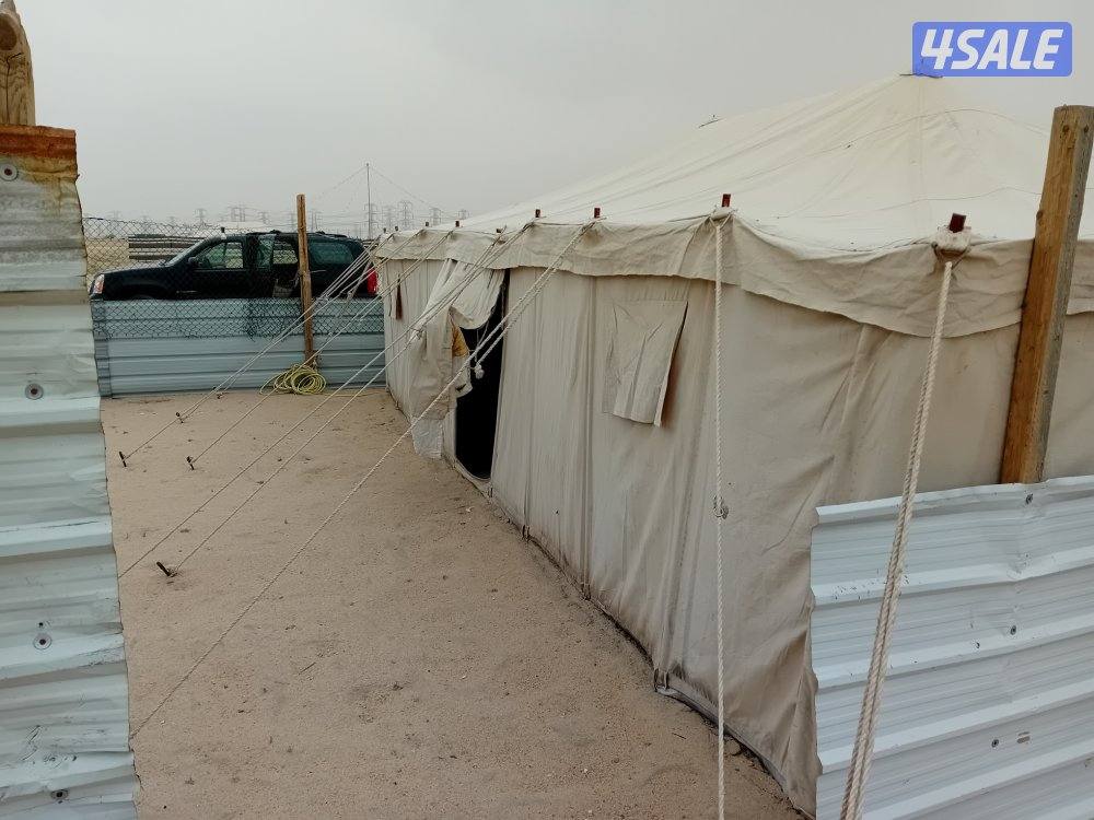 بيعة سريعة9