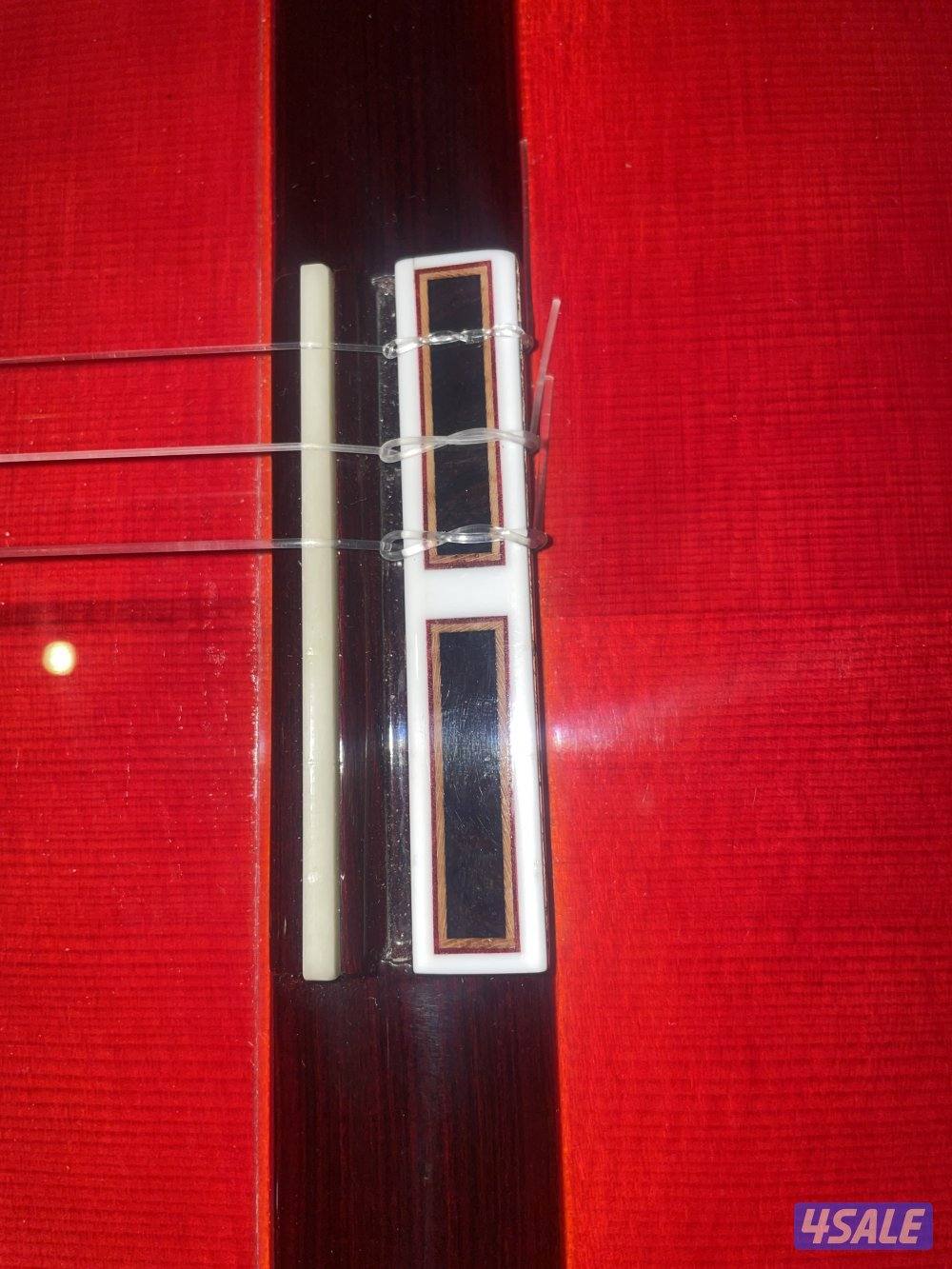 Flamenco guitar concert model6