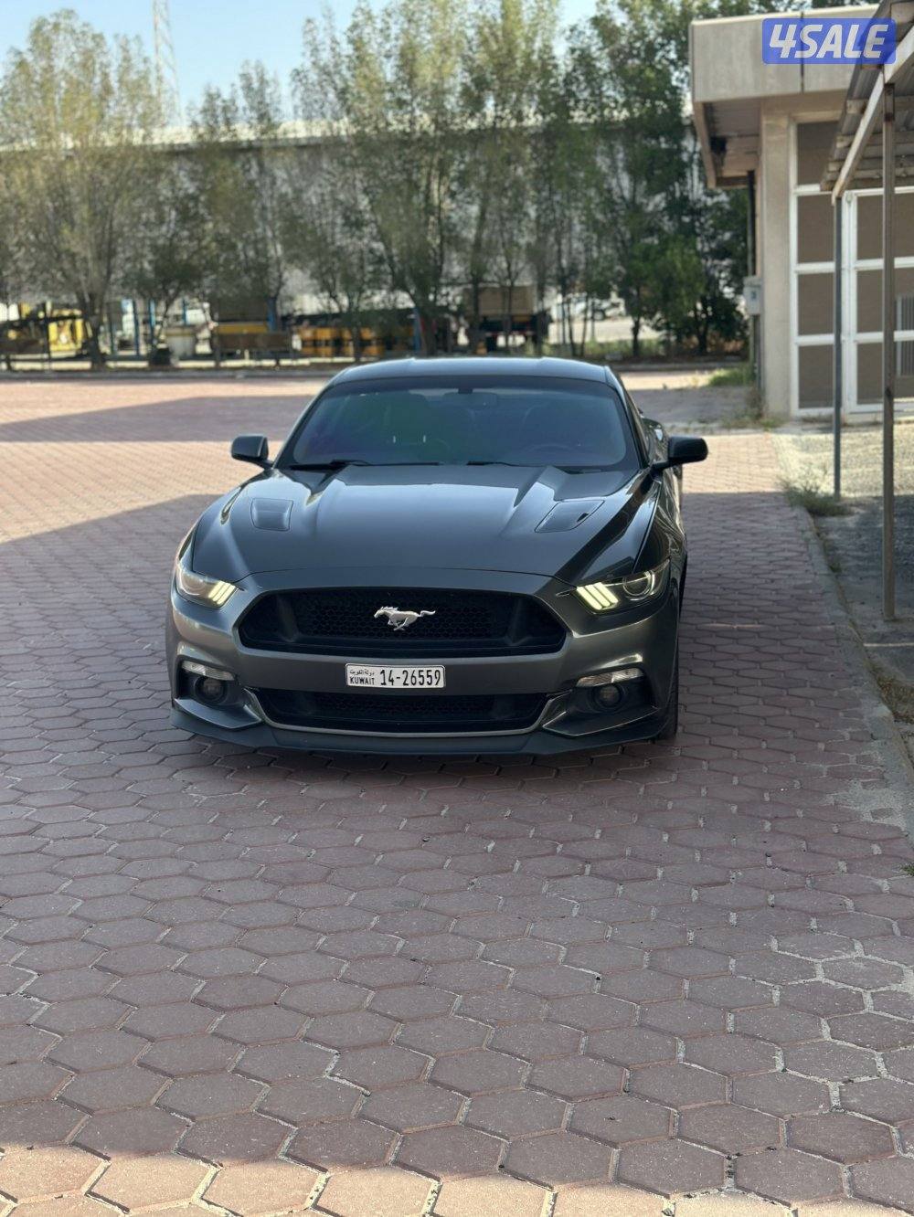 للبيع موستنق1