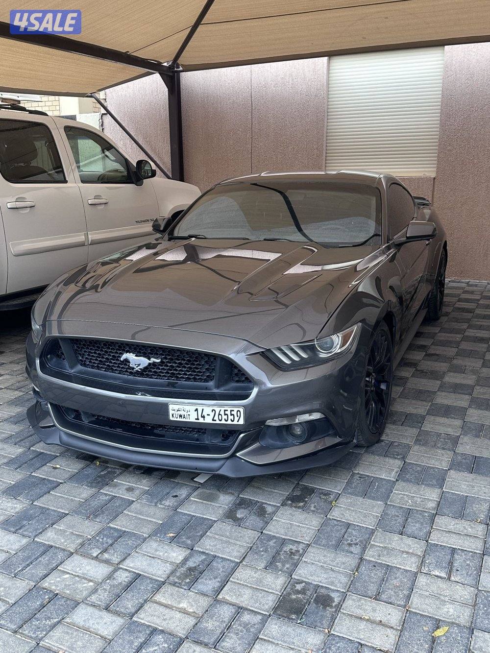 للبيع موستنق3