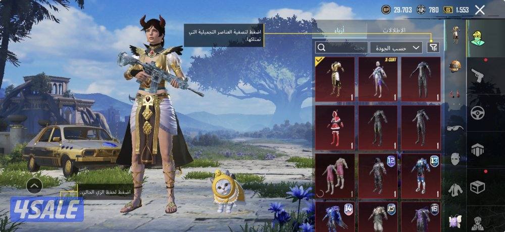 حساب ببجي للبيع امفور ضرر اسلوب خرافي بدلة اكس11