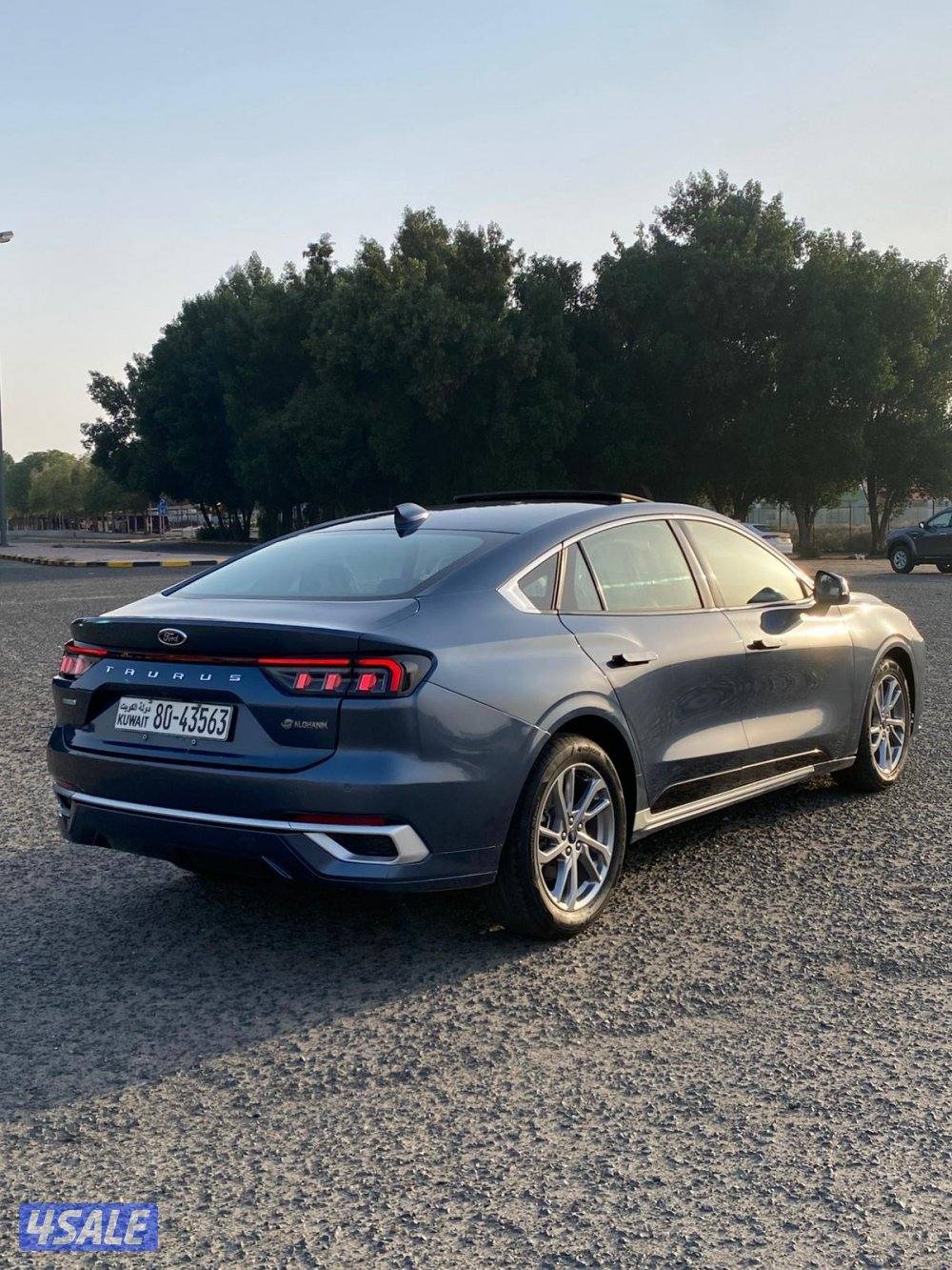 توروس  20242
