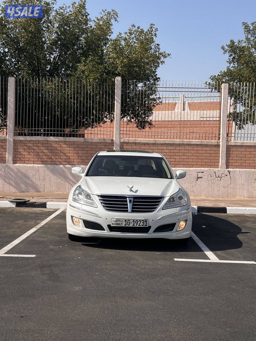 للبيع سوبرمان وارد الوكالة XL صبغ وكالة0